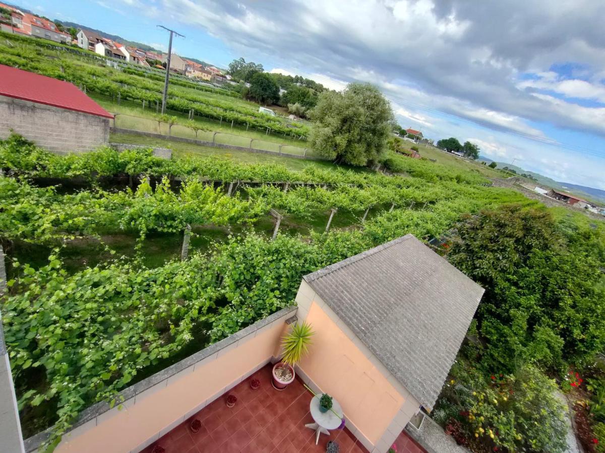 Apartamento A Grenla Entre Vinedos *