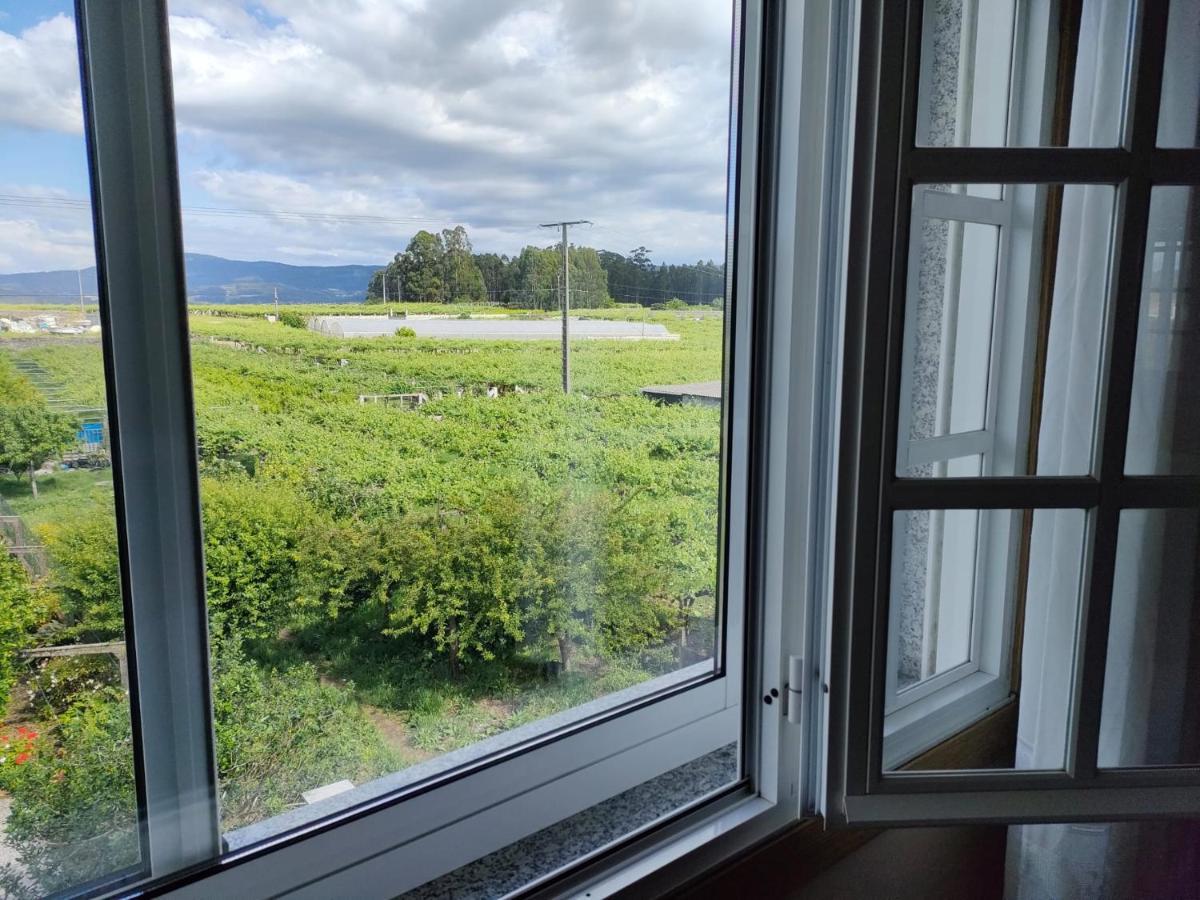 Apartamento A Grenla Entre Vinedos Cambados